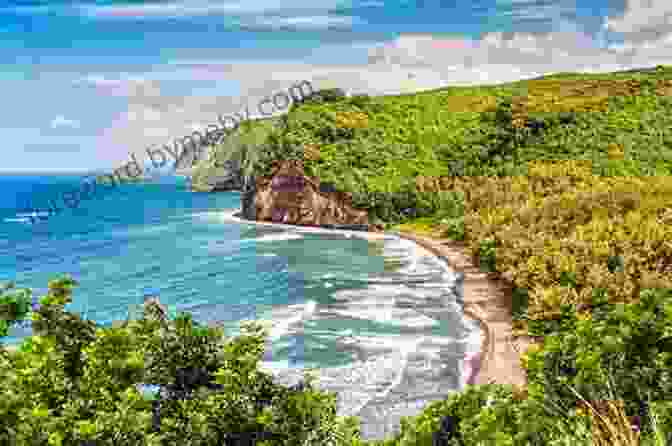 A Breathtaking View Of The Kohala Coast, Featuring A Rugged Coastline, Pristine Beaches, And Lush Greenery 1 Year 2 Kids 800 Sq Ft: Adventures Of A Small Family On The Big Island Of Hawaii (Living Or Visiting On The Big Island Of Hawai I)