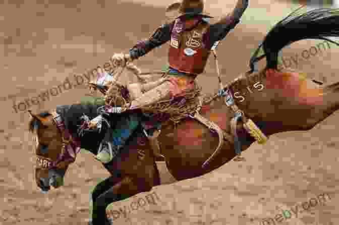 A Bronc Rider Riding A Bucking Horse My Rodeo Years: Memoir Of A Bronc Rider S Path To Hollywood Fame