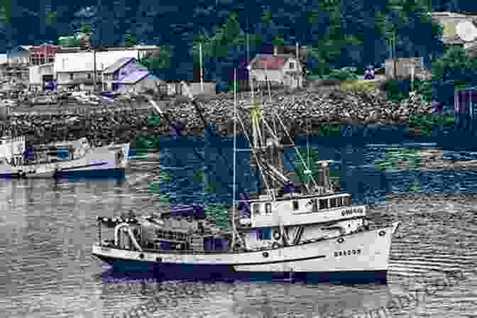 A Fishing Vessel Stranded On A Remote Alaskan Shore North By Northwestern: A Seafaring Family On Deadly Alaskan Waters