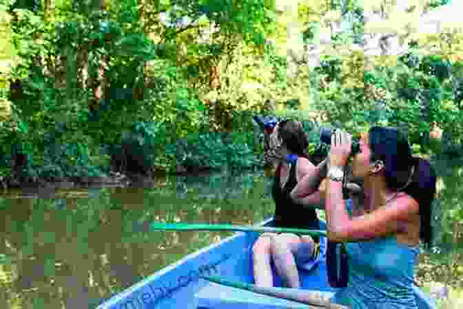 A Group Of Travelers Exploring The Tortuguero National Park In Costa Rica, Surrounded By Lush Vegetation And Wildlife. Tracking Turtles: A Diary Of Our Conservation Trip To Costa Rica