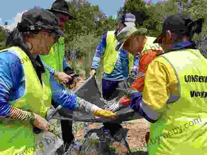 A Group Of Volunteers Participate In A Nature Conservation Project Figures In A Landscape: People And Places