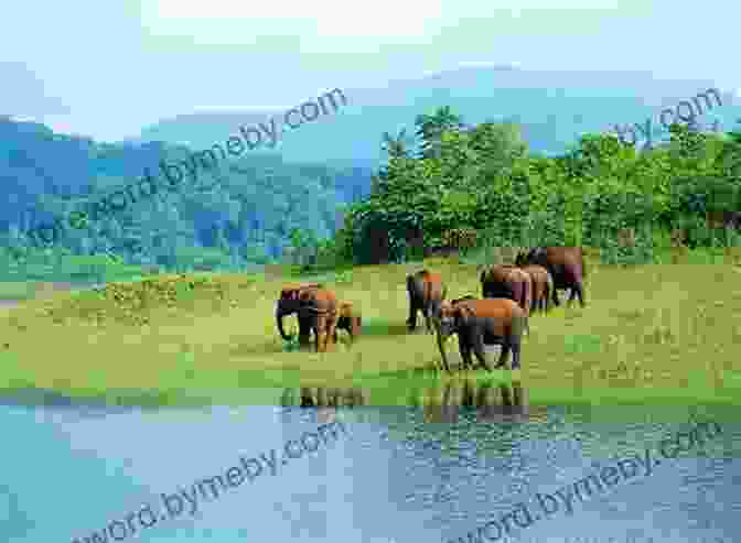 A Panoramic View Of A Protected Area Showcasing Diverse Landscapes And Wildlife Protected Areas Sustainable Tourism And Neo Liberal Governance Policies: Issues Management And Research