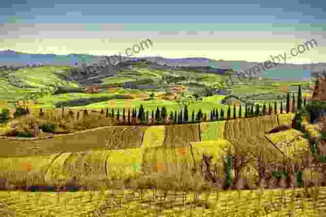 A Panoramic View Of The Tuscan Countryside, Featuring Rolling Hills, Vineyards, And Olive Groves Bella Tuscany: The Sweet Life In Italy