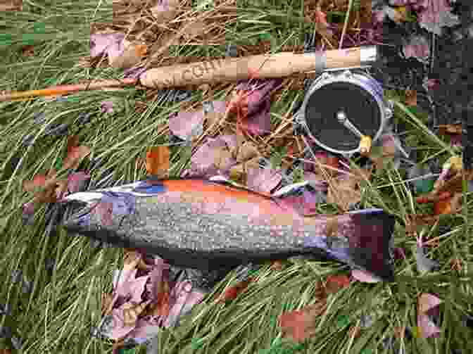 A Photo Of Catskill Eddy, A Famous Trout Fishing Spot In The Catskill Mountains The Wanderings Of A Mountain Fly Fisher: Tales From A Catskill Eddy And Other Trout Waters