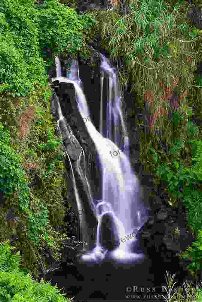 A Scenic View Of The Hamakua Coast, Highlighting Cascading Waterfalls, Verdant Valleys, And Towering Sea Cliffs 1 Year 2 Kids 800 Sq Ft: Adventures Of A Small Family On The Big Island Of Hawaii (Living Or Visiting On The Big Island Of Hawai I)