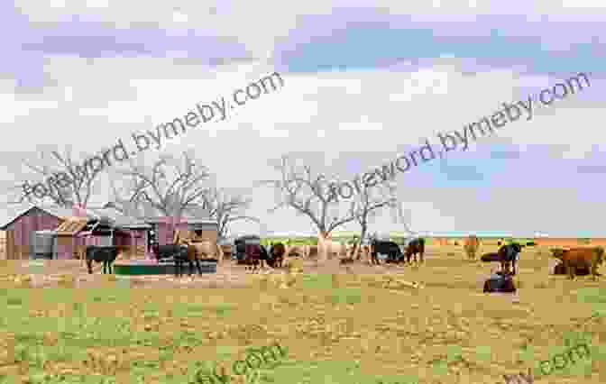 A Sprawling Cattle Ranch In The Texas Panhandle, A Reminder Of The State's Rich Agricultural Heritage And Cowboy Culture A Journey Through Texas: Or A Saddle Trip On The Southwestern Frontier