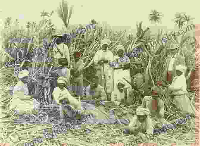 A View Of A Jamaican Sugar Plantation Mastery Tyranny And Desire: Thomas Thistlewood And His Slaves In The Anglo Jamaican World