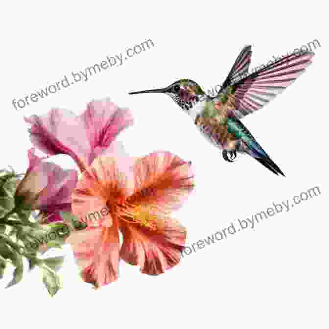 A Vivid Illustration Of A Hummingbird Hovering Near A Blooming Flower, Showcasing The Intricate Details Of The Bird's Anatomy And The Delicate Petals Of The Flower. The Art Of Botanical Bird Illustration: An Artist S Guide To Drawing And Illustrating Realistic Flora Fauna And Botanical Scenes From Nature