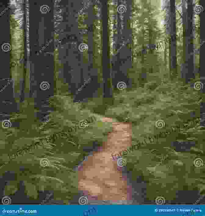 A Winding Path Leading Into A Dense Forest, Inviting Readers To Embark On A Journey Of Exploration And Discovery. Looking Closely Through The Forest