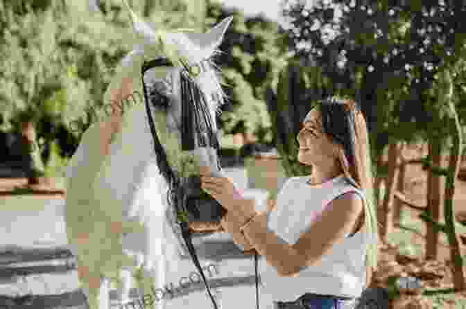 A Woman Gently Interacts With A Horse, Demonstrating The Compassionate And Effective Training Methods Outlined In 'Sad Stations Handling And Training Horses.' Sad L Stations: Handling And Training Horses