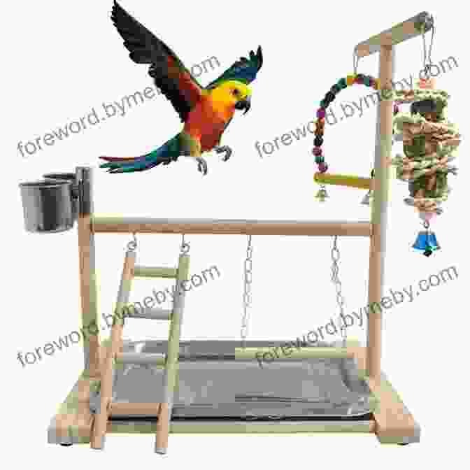 Assortment Of Parakeet Accessories, Including Toys, Perches, And A Bath A Comprehensive Guide To Parakeet Care As Pet : The Amazing Birds Known As Man S Best Friend And Companion The Parakeet