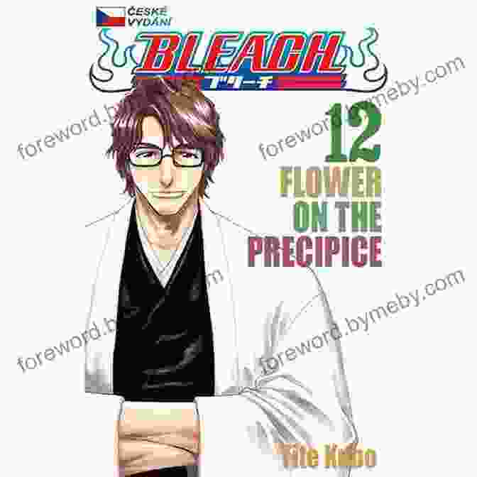 Bleach Vol 12 Flower On The Precipice Book Cover Bleach Vol 12: Flower On The Precipice