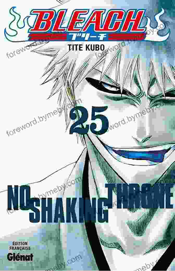 Bleach Vol 25: No Shaking Throne Book Cover Bleach Vol 25: No Shaking Throne