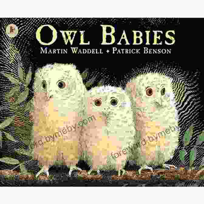 Book Cover Of 'Owl Babies' By Martin Waddell Featuring Three Adorable Owl Chicks Peering Out Of A Tree Hollow. Owl Babies Martin Waddell