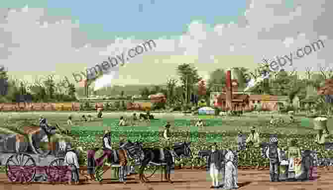 Cotton Plantation In The Antebellum South A Journey In The Seaboard Slave States