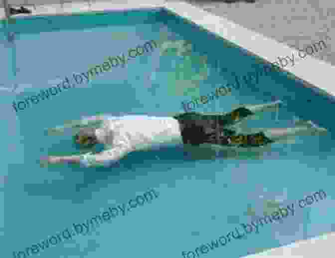 Gatsby Lying Dead In His Pool The Great Gatsby: The Graphic Novel