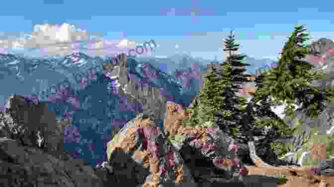 Hikers Ascend A Steep Mountain Trail With Mount Ellinor In The Distance Hiking Olympic National Park: A Guide To The Park S Greatest Hiking Adventures (Regional Hiking Series)