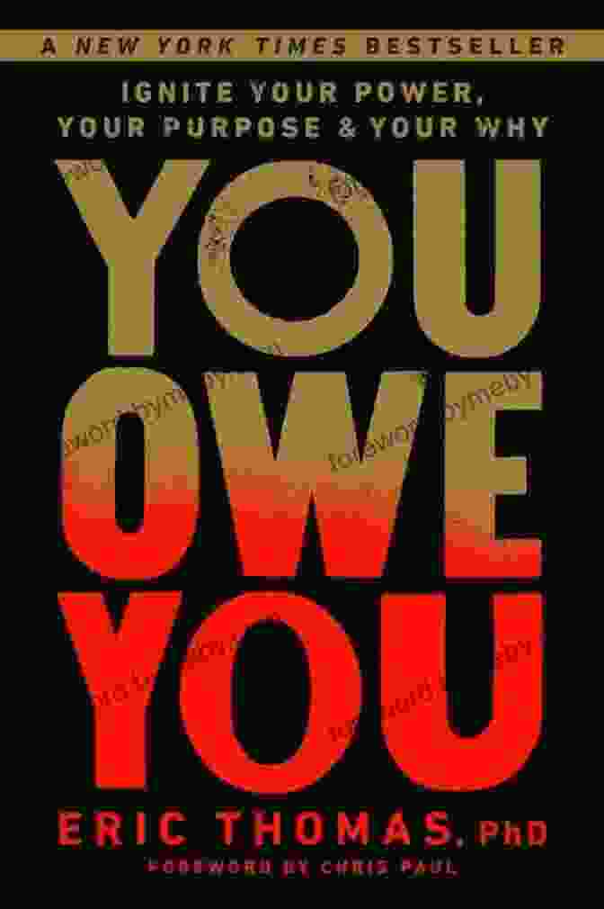 Ignite Your Power, Your Purpose, And Your Why Book Cover You Owe You: Ignite Your Power Your Purpose And Your Why