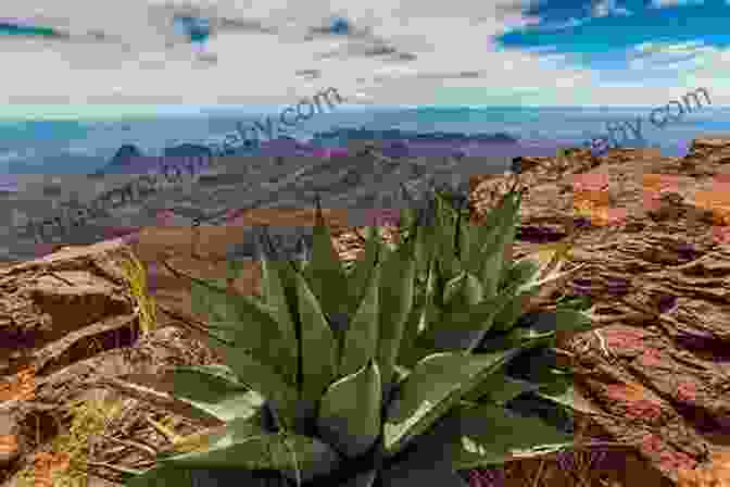 Jagged Rock Formations Rise From The Arid Landscape Of The Chihuahuan Desert In West Texas, Revealing The Ancient Geological History Of The Region A Journey Through Texas: Or A Saddle Trip On The Southwestern Frontier