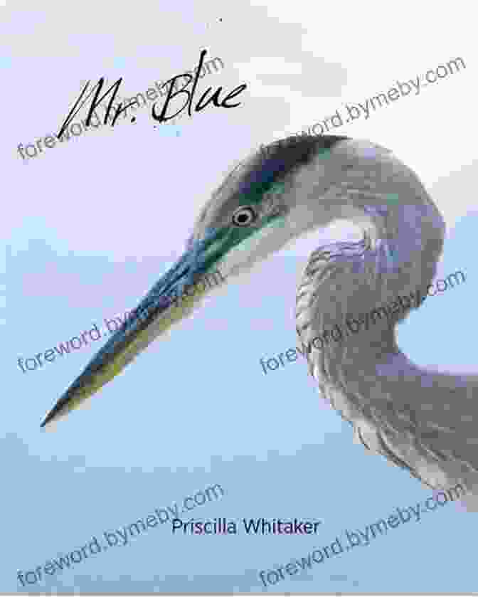 Mr. Blue By Priscilla Whitaker A Novel That Explores The Depths Of Human Nature Through The Enigmatic Character Of Mr. Blue. Mr Blue Priscilla Whitaker