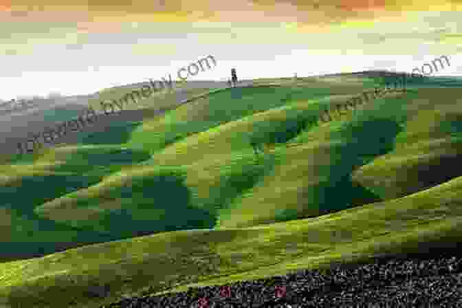 Panoramic View Of Rolling Green Hills And A River Britain AD: A Quest For Arthur England And The Anglo Saxons