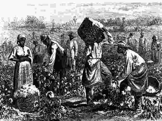 Slaves Working In The Field A Journey In The Seaboard Slave States