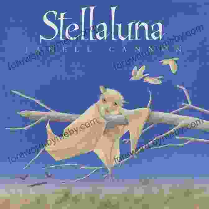 Stellaluna, An Orphaned Fruit Bat, Cuddles With A Baby Bird Named Pip In The Heartwarming Story Of Friendship And Acceptance. Stellaluna 25th Anniversary Edition Janell Cannon