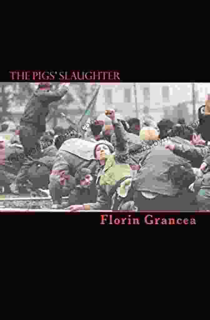 The Pigs Slaughter By Florin Grancea The Pigs Slaughter Florin Grancea