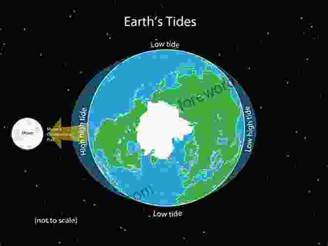 Tide Chart Illustrating The Rise And Fall Of The Tides Tides: The Science And Spirit Of The Ocean