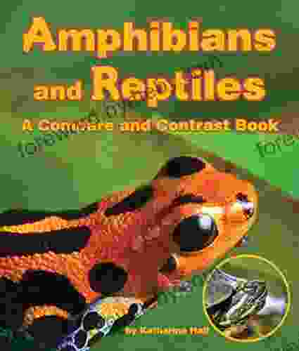 Amphibians And Reptiles: A Compare And Contrast