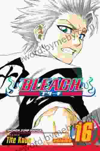 Bleach Vol 16: Knight of Wijnruit