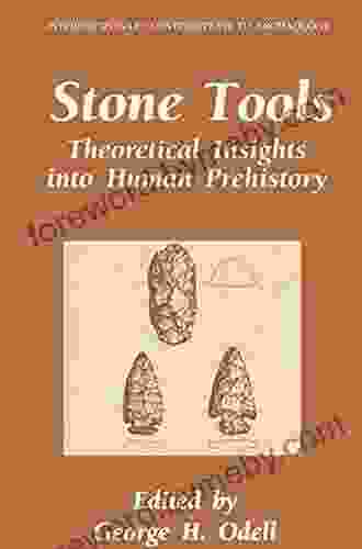 Stone Tools: Theoretical Insights Into Human Prehistory (Interdisciplinary Contributions To Archaeology)